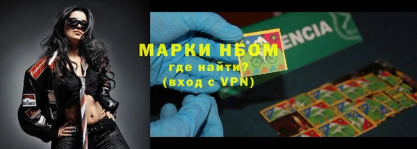 спайс Покачи